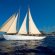 Pictures of Sailing boats