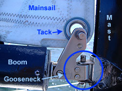 example showing gooseneck, mainsail, tack, mast, and growth.