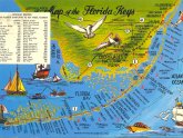 Sailing Charters Florida Keys